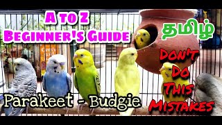 How to grow Budgies in home | Beginners Complete Guidance & Care | Budgies A-Z Guide in Tamil