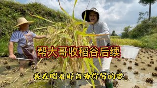 美女帮贵州大哥收稻谷后续，田边吃稻花鱼太美味，小语吃了三大碗【小语行】