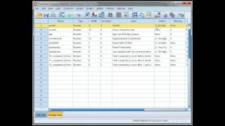 Change the coding of a variable using 'Recode into same variable' in SPSS