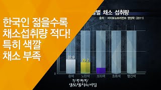 한국인 젊을수록 채소섭취량 적다! 특히 색깔채소 부족 - (20120721_422회 방송)_색다른 밥상, 컬러 채소