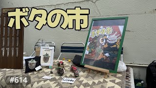 vlog: 614 「ゆる園芸 | ボタの市でSPCのメンバーとして暗躍してきた！ | ケラリアピグマエア | エボリスピナ」