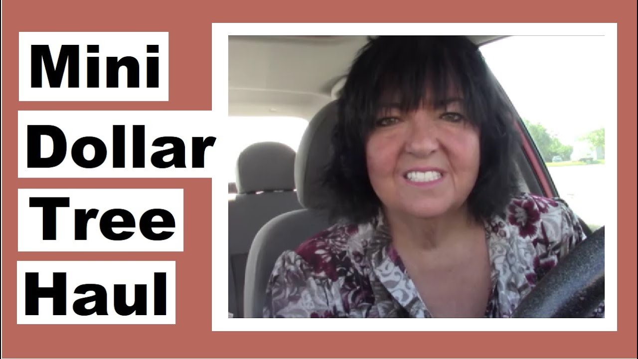 Mini Dollar Tree Haul Youtube