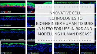 Engineered Human Tissues Webinar, Nov 2025 | REPROCELL