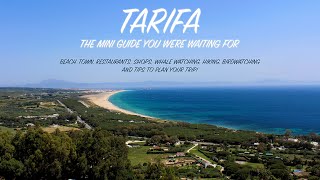 Mini guide of TARIFA (Spain) | Beach, town, activities, natural parks and clips of wild animals!