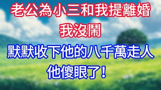 老公為小三和我提離婚，我沒鬧，默默收下他的八千萬走人，他傻眼了！#情感故事 #生活經驗  #為人處世  #老年生活#故事