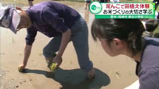 【はだしで田んぼへ…】小学生が泥んこで田植えを体験　お米づくりの大切さ学ぶ　愛知・岡崎市