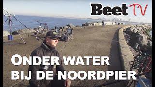 Nederland onder water: vis en krab bij de Noordpier IJmuiden  |  Beet