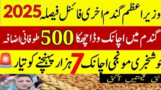 Today Wheat price in punjab//گندم کا ریٹ 2024/munji makki till sarso/Galla mandi rate today