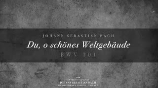 134. Du, o schönes Weltgebäude, BWV 301