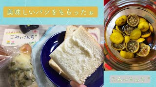 美味しいパンをもらったぉ【こみぃさんち*vlog】