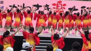 踊りゃん祭＠2013　かわさき楽大師厄除けよさこい