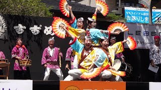 団体部門(#祭り向日葵) @ 仙台すずめ踊り (コンテスト決勝) 2019-07-28T12:45