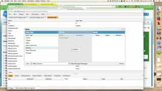 Apex Workshop Webinar 1: Developer Console