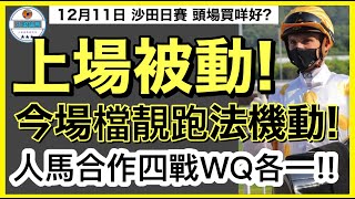 [小梁論馬] 12月11日沙田日賽~頭場買咩好?? | 上場被動! | 今場檔靚跑法機動! | 人馬合作四戰WQ各一!! | 賽馬KOL-小梁@KleagueworkshopKen