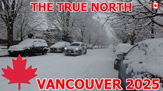 LIVE SNOW: Vancouver Winter Storm - Walk in Heavy Snowfall in Feb 2025