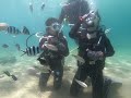 【padi 澎湖興仁潛水】7 30 體驗潛水