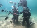 【padi 澎湖興仁潛水】7 30 體驗潛水