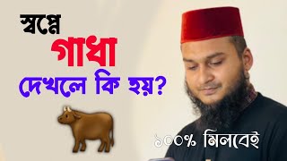 স্বপ্নে গাধা দেখার ব্যাখ্যা কি | স্বপ্নে কি দেখলে কি হয় | স্বপ্নে ব্যাখ্যা | স্বপ্নের তাবির ফলাফল