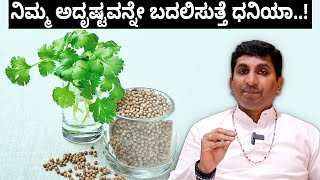 Coriander Vastu : ಧನಿಯಾದಿಂದ ಈ ರೀತಿ ಮಾಡಿ ಸಾಕು ಹಣದ ಮಳೆಯಾಗುತ್ತೆ! | Vijay Karnataka