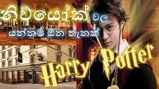 Harry Potter Hidden Wizard World New York America ඇමෙරිකාවෙ නිව් යෝක් වල සැඟවුණ මායා ලෝකය හැරී පොටර්