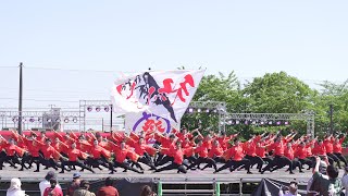 [4K] 信州大学YOSAKOI祭りサークル和っしょい　2023年度演舞『八継(やつぎ)』初披露　1回目 犬山踊芸祭 2023 土曜日