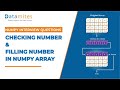 Checking and filling number in Numpy Array | Numpy Tutorial