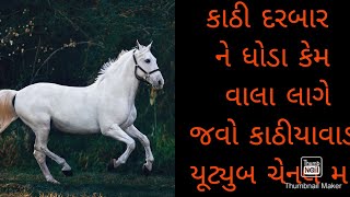 કાઠિયાવાડ ધોડા || kathiyawad hours be page bajar ma dodta jovo || kathi darbar wedding na fuleka |