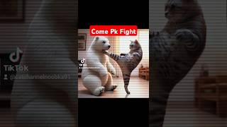 #comedy#pk#cat#bear#fighting#viral#youtubeshorts#trending#youtube#ai#shorts#short#fyp#cute#victory