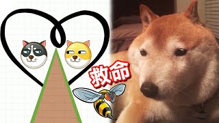 直接挑戰最難關...就這！？畫線救救迷因狗勾｜Save The Doge 救我狗命