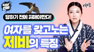 이런 특징을 가진 사람은 99.9% 제비다?!!😲 제비에게 당하기 쉬운 여자들의 특징!! 제비사주 과연 타고나는걸까?!