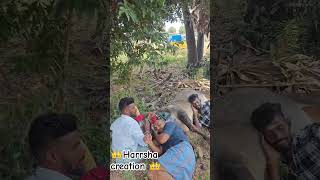 ❤️காளையின் காதலன் ❤️❤️பாசத்தின் அடையாளம்❤️#viralvideo #youtubeshorts #trending #jallikattu