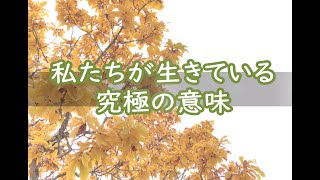 奥平亜美衣　～私たちが生きている究極の意味