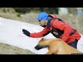 Bulgarian Mountain Rescue Dog Teams Rely Heavily On Volunteers