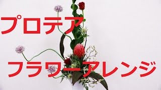 プロテアとカンガルーポウのフラワーアレンジの作り方~Ho w to make a flower arrangement with protea.