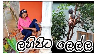 ලහිපිට ලෙල්ල vlog sinhala | shopping vlog | day in life #vlog #shoppingvlog #lifestyle