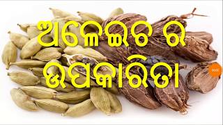 ଅଳେଇଚ ଖାଇବାର ଉପକାରିତା,ODIA,ODIA HEALTH TIPS ON CARDAMON,ODIA HEALTH BENEFITS ON CARDAMON,VARKHA