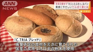 コオロギ使ったカレーとパン　注目の“タンパク源”(2021年10月22日)