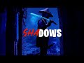 [FREE] Dancehall Riddim Instrumental 2023 (Shadows)