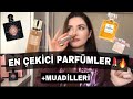 EN ÇEKİCİ KADIN PARFÜMLERİ💄 🔥Muadil Parfümler-Dp Muscent Loris.. #parfum #fyp