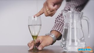 Wine Glass Sound Experiment - Science Projects for Kids | Educational Videos by Mocomi