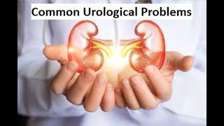 Dr.Sivaraman Talk about Common Urological Problems | CuriHospital