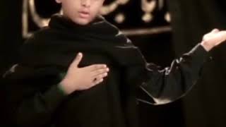 Mohammad ali rizvi noha clip qibla ya hussain A.S