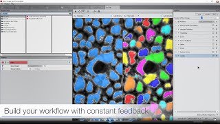 Amira-Avizo Software | Image Stack Processing