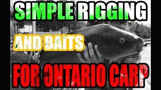 Simple Rigging and Baits for Ontario Carping - RIG IT!!!- Hard Carpin'