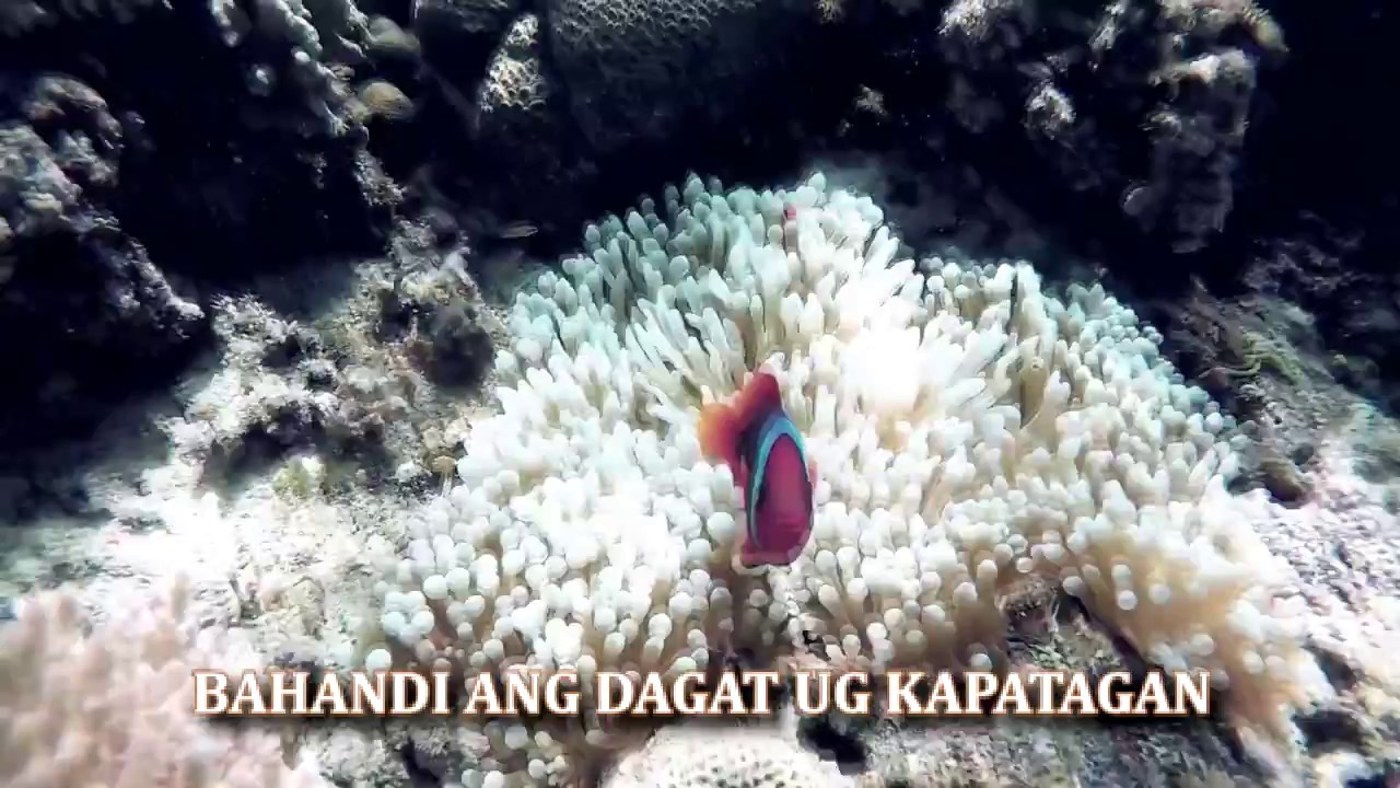 Awit Sa Bohol Bohol Hymn Lyrics Chords Chordify