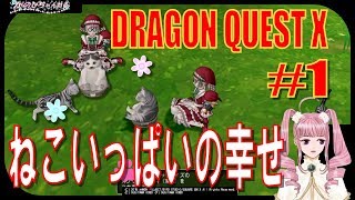 【DQX実況】第1話「ねこいっぱいの幸せ」