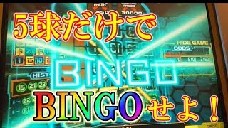 5球だけのビンゴゲームでメダル1000枚を倍増できるか？（前編）