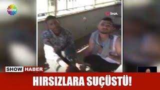 Hırsızlara suçüstü!