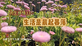 人生感悟33——生活是晨起暮落。幸福。痛苦。想开。柴米油盐。健康。充实。静心。思念亲人。祈福亲人。（20230717）