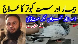 Bimar kabootar ka ilaj | Bimar Kabootar ki dawai | Pigeons Treatment | Ustad Imran bakarmandi waly,